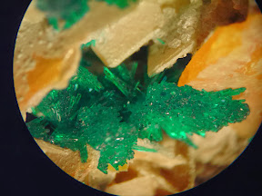 Read more about the article Dioptase and Wulfenite from Tseumb