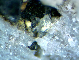 You are currently viewing Cerussite  Hardin Co. Illinois USA (2003) FOV:2 mm